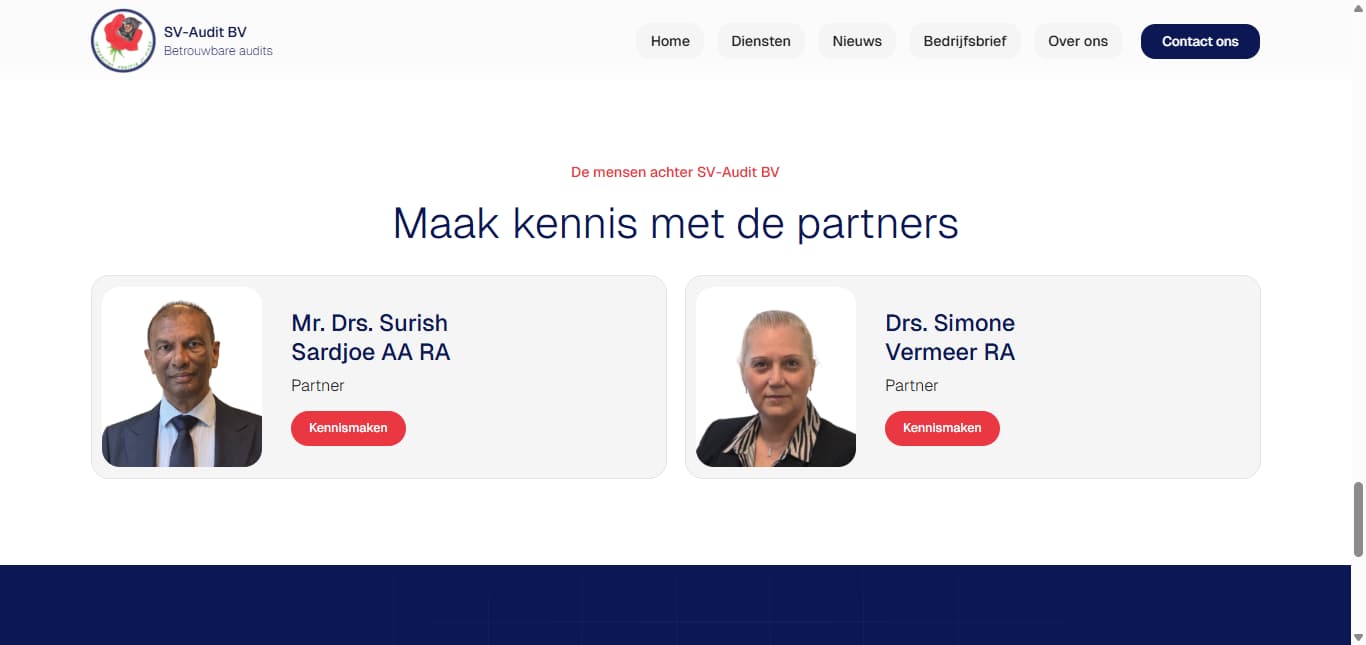 SV-Audit BV screenshot 2