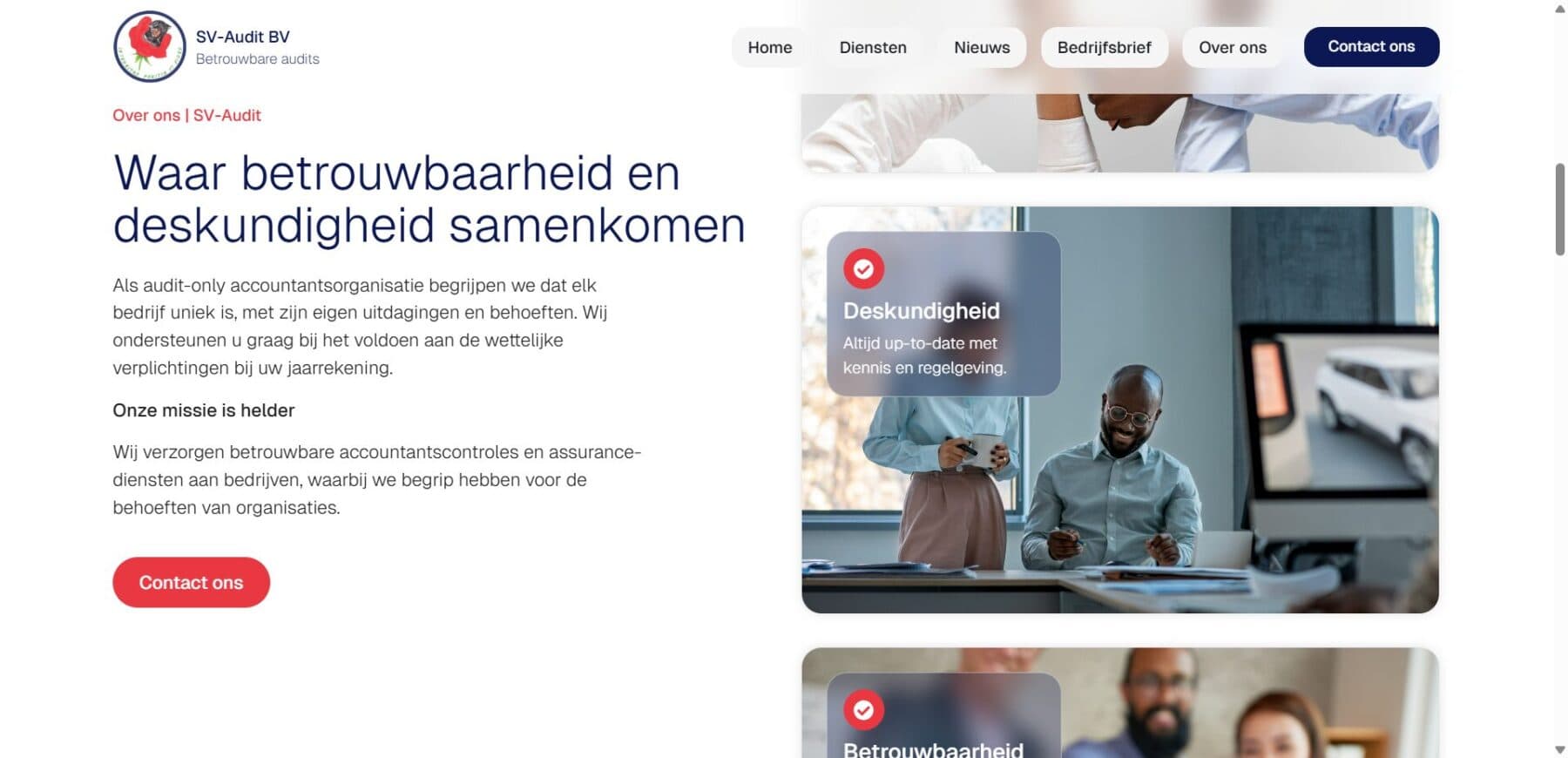 SV-Audit BV screenshot 3