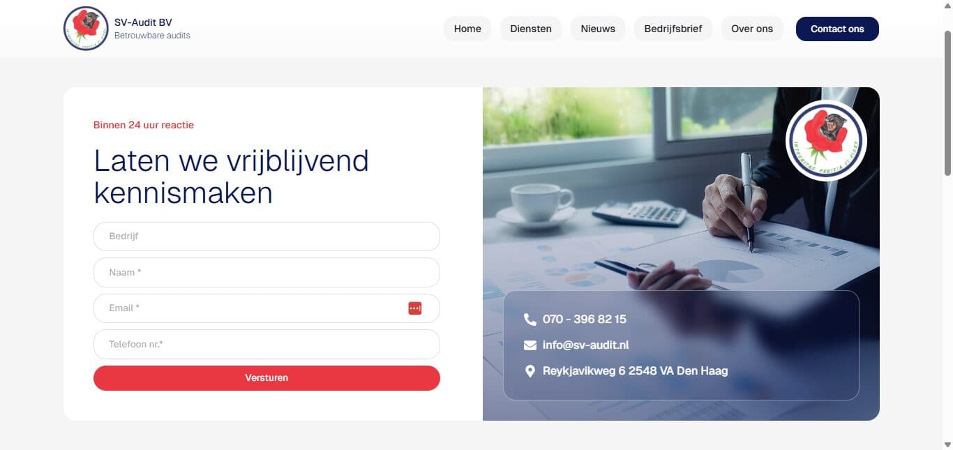 SV-Audit BV screenshot 4